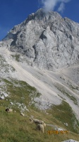 IMG_6809.jpg, 24kB